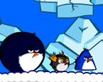 Angry Penguen