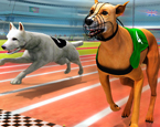 Gerçek Köpek Yarışı