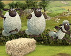 Koyunların Sorunu 4