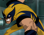 Wolverine