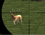 Deer Hunter